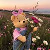 ninoshainidze343