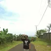 artdy82