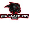 bigblackcatxo
