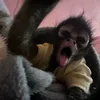 iansito0o_