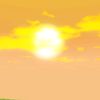 ten_lwf