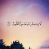 aymanbdeer27