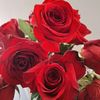 artlover8682