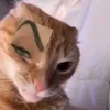nacho_xdddd