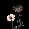 hayfalucy