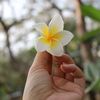 rupkotha_410