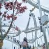 user4xk8voiayo