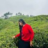 puju16110714