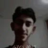 h_313si