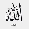 hosinbnrli