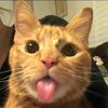 rifkyyyy85