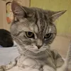 samir_95_17