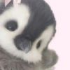 hello_kitty_ilove_you1