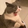 fa00_30