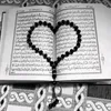 mouhmed13bkh