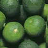 soysauce_user