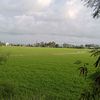 Supardi Kendari