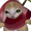 marcosreniero