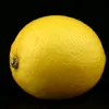 citruslimon2