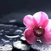 ma_kas2