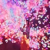 midnight_sync