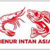 benur.intan.asia