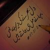 user779130306