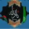 talis044_313