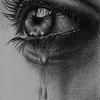 xanmy_bmw1