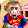 specialedmonkey