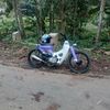 gabutboss02