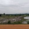 aung.zaw.phyo576