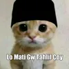 liktsky_
