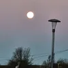 logan_david246
