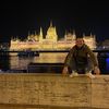 rentmybike