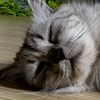 lucklysleeppingg