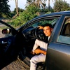 mohamedmrashed650