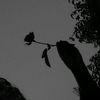 israt.jahan.misty