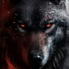 alpha19005