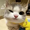 bini_09055