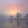 rosyln05