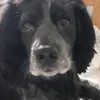 lukedoc11