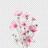 aesp_03