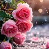 user7vild3o6wp