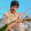 jamsalmangindi