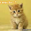mariaz2373