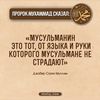 islam.tin