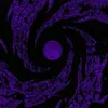 the_nice71