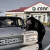scdwagon