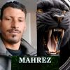 mehrezsassi7